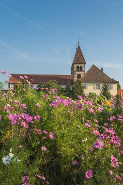 Önlerinde çiçek çayırı bulunan St. Peter ve Paul Kilisesi, Reichenau Adası, UNESCO Dünya Mirası Alanı, Niederzell, Constance Gölü, Baden-Wuerttemberg, Almanya