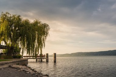 Constance Gölü, sabah atmosferi kıyı şeridi, Sipplingen, Baden-Wuerttemberg, Almanya