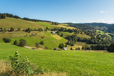 Kara Orman 'daki tepe manzarası, Wiedener Eck, Wieden, Baden-Wuerttemberg, Almanya