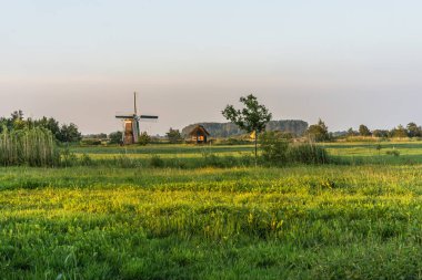 Kırsal alanda geleneksel yel değirmeni, Bedekaspel, Grosses Meer, Suedbrookmerland, Doğu Frizya, Aşağı Saksonya, Almanya