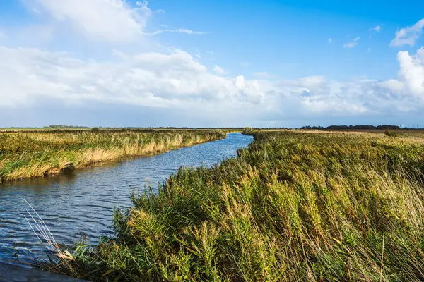 Katinger Watt Doğa Koruma Alanı, Toenning, Eiderstedt, Kuzey Frizya, Schleswig-Holstein, Almanya