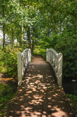 Serbest erişilebilir Evenburg Kalesi Parkı, Leer, Doğu Frisia, Aşağı Saksonya, Almanya