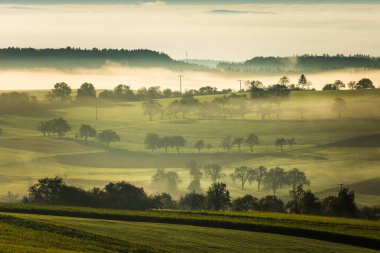 Almanya 'da Baden-Wuerttemberg Hegau' da sakin bir sonbahar sabahı. Yuvarlanan yeşil tepeler ve dağınık ağaçlar bulutlu bir gökyüzünün altında sakin ve atmosferik bir manzara yaratarak nazikçe sisle örtülürler..