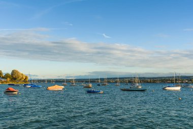 Almanya 'nın güneyindeki Constance Gölü' nde bulunan Allensbach 'ta çok sayıda demirlemiş ve demirlemiş yelkenli ve küçük tekneler, Baden-Wuerttemberg, Almanya