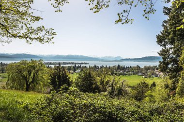 Arka planda Alpler, Lindau, Bavyera, Almanya, Constance Gölü 'nden Hoyersberg manzarası.