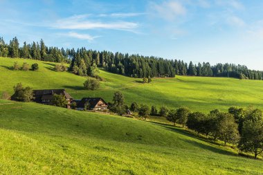 Idyllic farmhouse in Jostal valley with rolling green hills, Black Forest, Titisee-Neustadt, Baden-Wuerttemberg, Germany
