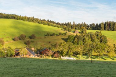 Traditional farmhouses in hilly landscape of Jostal valley, Black Forest, Titisee-Neustadt, Baden-Wuerttemberg, Germany