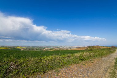 Mavi gökyüzünün altındaki yeşil çayır