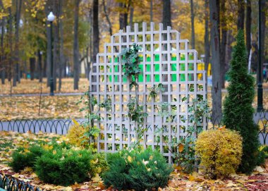 Parktaki bitki yatakları için dekoratif destek. Bitki ve güllere tırmanmak için metal desteği. Park peyzaj tasarımında sonbahar.