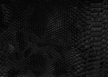 Lüks siyah timsah dokusu yakın plan. Doğal timsah derisi. ıslak deri cilt 