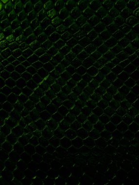 Lüks yeşil timsah dokusu yakın plan. Doğal timsah derisi. deri ten 