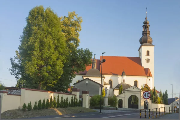 ポーランド 上シレジア グリウィス 西端から見たマリア教会のラベディの仮定 — ストック写真