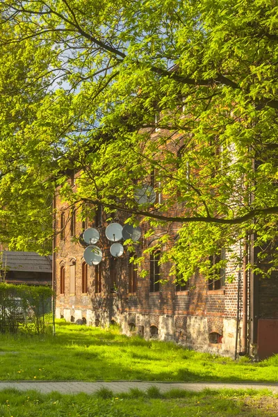 Polonya, Yukarı Silezya, Zabrze, Borsigwerk şirketi kasabası, ilkbaharda güneş ışığı