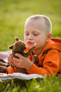 Küçük çocuk yeşil çimlerin üzerinde rodezik sırtlı yeni doğmuş yavrularla yatıyor, onlardan birini öpüyor.