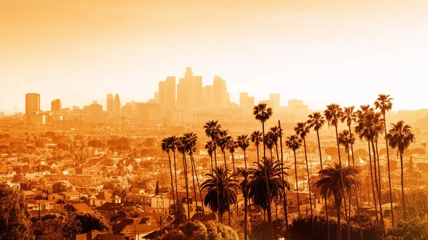 Gün Batımında Palmiye Ağaçlarıyla Los Angeles Ufuk Çizgisi — Stok fotoğraf