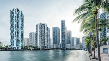 Miami Nehri 'nden görünen Miami silueti.