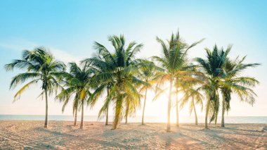 Tropik bir plajda güzel bir gün batımı