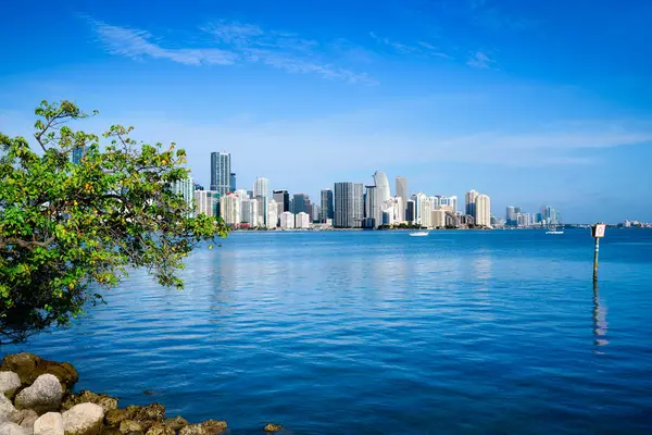 Skyline Miami Florida Stock Kép