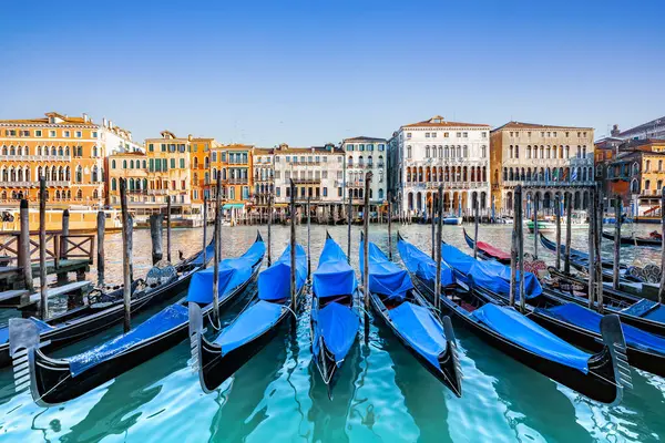 Gran Canal Venecia Con Góndolas Fotos de stock libres de derechos