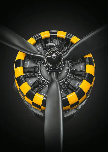 Radiale Motor Van Een Historisch Luchtvaartuig Stockfoto