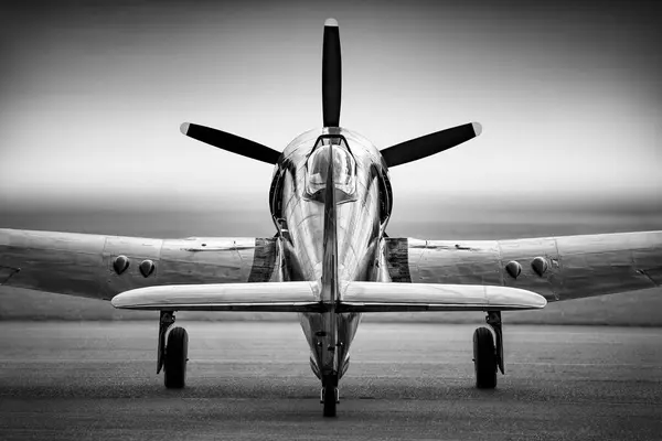 Historické Stíhací Letadlo Černé Bílé Stock Obrázky