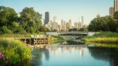 Chicago 'nun ufuk çizgisi ve güzel Lincoln Parkı