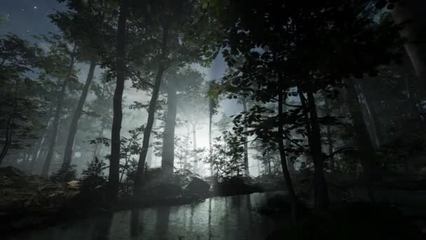 夜に森の中に寝そべっている女性エーテルの精神的実存体験ニンフエイリアン惑星フェアリー物語夢のような — ストック動画