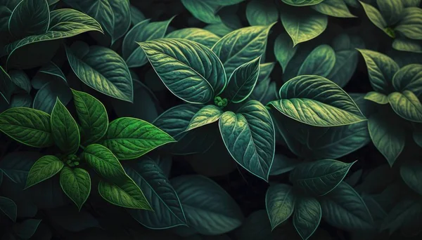 A painting of green leaves with a black background and a green center surrounded by smaller green leaves highly detailed digital painting an ambient occlusion render photorealism
