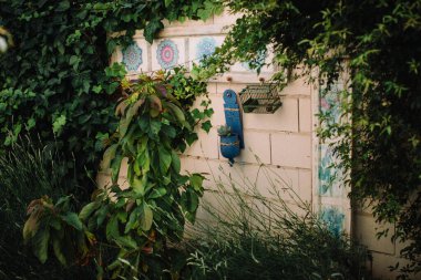 Yeşil bitkilerle dolu bir bahçe.