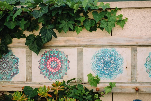 green ivy and mandala drawings on wall in the garden