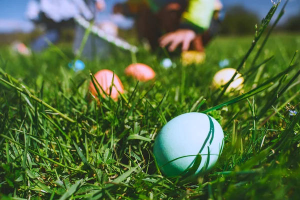 Easter eggs hunt background with copy space. A spring green meadow with Easter eggs hidden in grass. Festive family traditional play game on Easter.