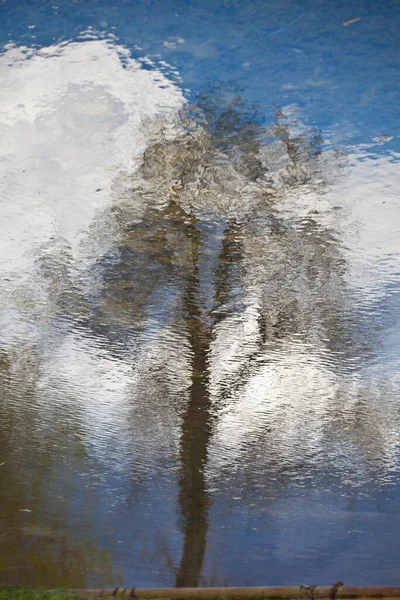 Închidere Verticală Unei Reflecții Copacilor Apă — Fotografie, imagine de stoc