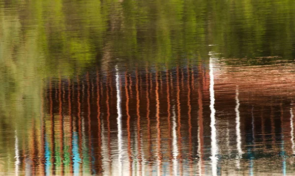 Fundal Abstract Textură Reflectarea Pădurii — Fotografie, imagine de stoc