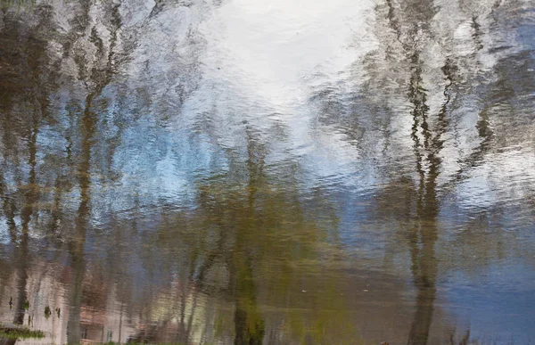 Reflectarea Copacilor Într Baltă Apă Într Însorită — Fotografie, imagine de stoc