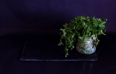 bir tencerede yeşil maydanoz 