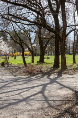 Baharda güzel bir park görüntüsü. 