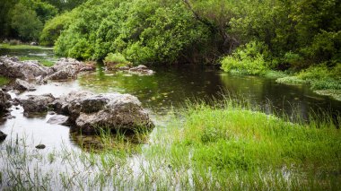 Ormandaki küçük bir nehrin güzel manzarası. 