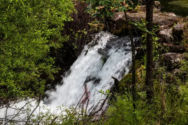 滝と水と石 — ストック写真