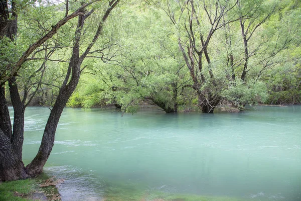 Vacker Bild Grön Skog Med Flod Bakgrunden — Stockfoto
