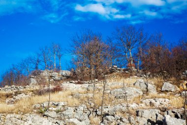 Bir dağda güzel bir sonbahar manzarası 