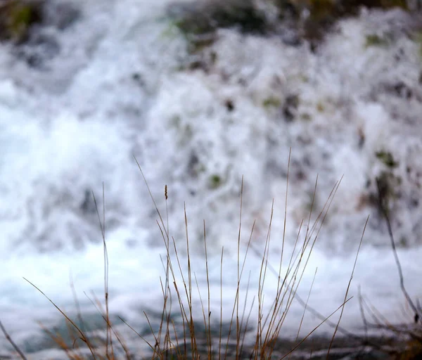 Górski Potok Wodospad — Zdjęcie stockowe