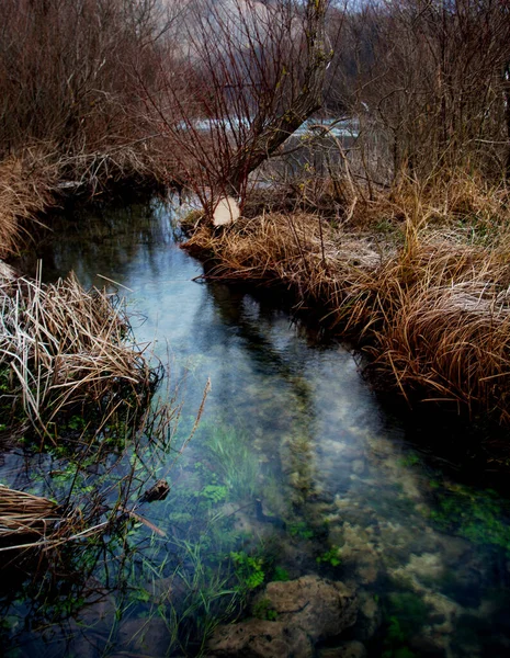 Eine Vertikale Aufnahme Eines Flusses Einem Park Umgeben Von Pflanzen — Stockfoto