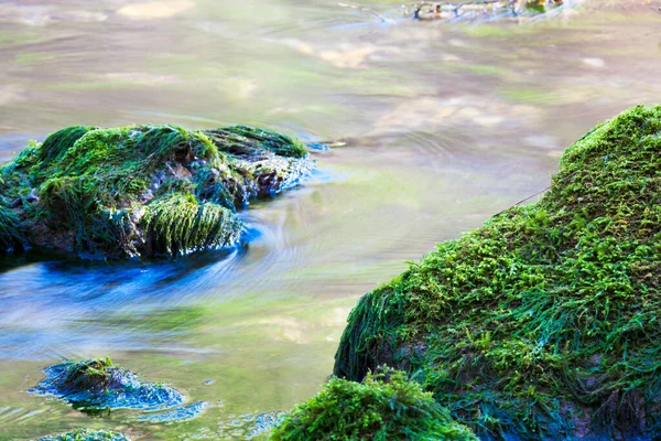 Piękny Krajobraz Rzeką — Zdjęcie stockowe