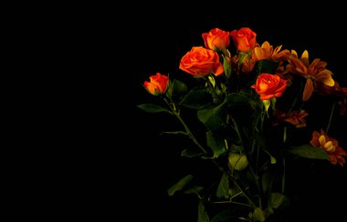 Güzel çiçekler, çiçek konsepti 