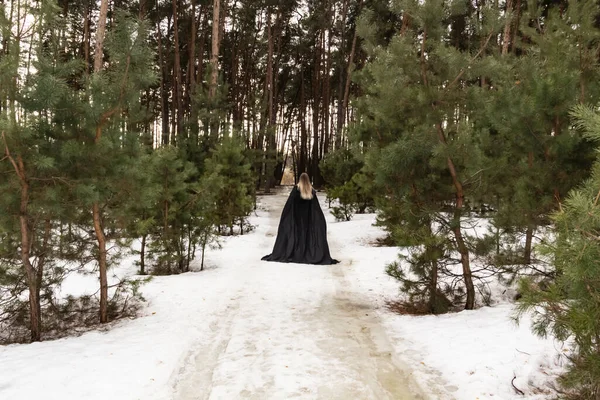 Blonde woman in a black cloak with a hood in winter in a pine forest. Female in cloak from the view from the back side