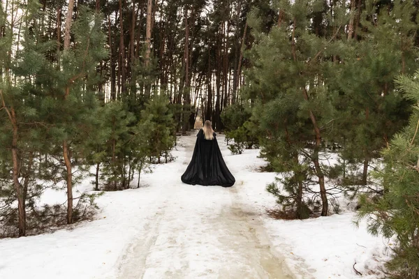 Blonde woman in a black cloak with a hood in winter in a pine forest. Female in cloak from the view from the back side
