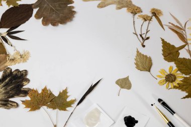 Yapraklardan ve boyalardan yapılmış. Boyalı ve fırçalı yapraklardan çerçeve için hazırlıklar. Kurumuş bitkiler ve çiçekler kağıda konmuş..