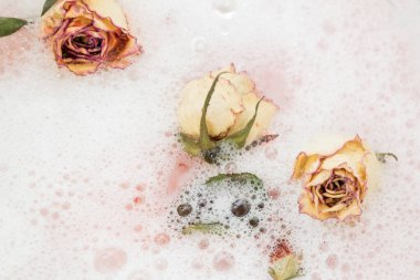 Köpük ve suyla kurumuş çiçekler. Buds Rose, sabundan köpükler çıkıyor. Beyaz köpüklü ölü güller