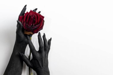 The black hands with long nails hold a rose and make it dry. Concept photo with woman hands painted in black paint with hold a red flower. Demon power in hands make rose die clipart