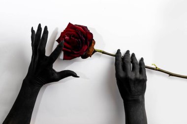 Uzun tırnaklı siyah eller bir gül tutar ve onu kurutur. Siyah boyayla boyanmış kırmızı çiçekli kadın eli konsept fotoğraf. Ellerindeki şeytan gücü Rose 'u öldürür.